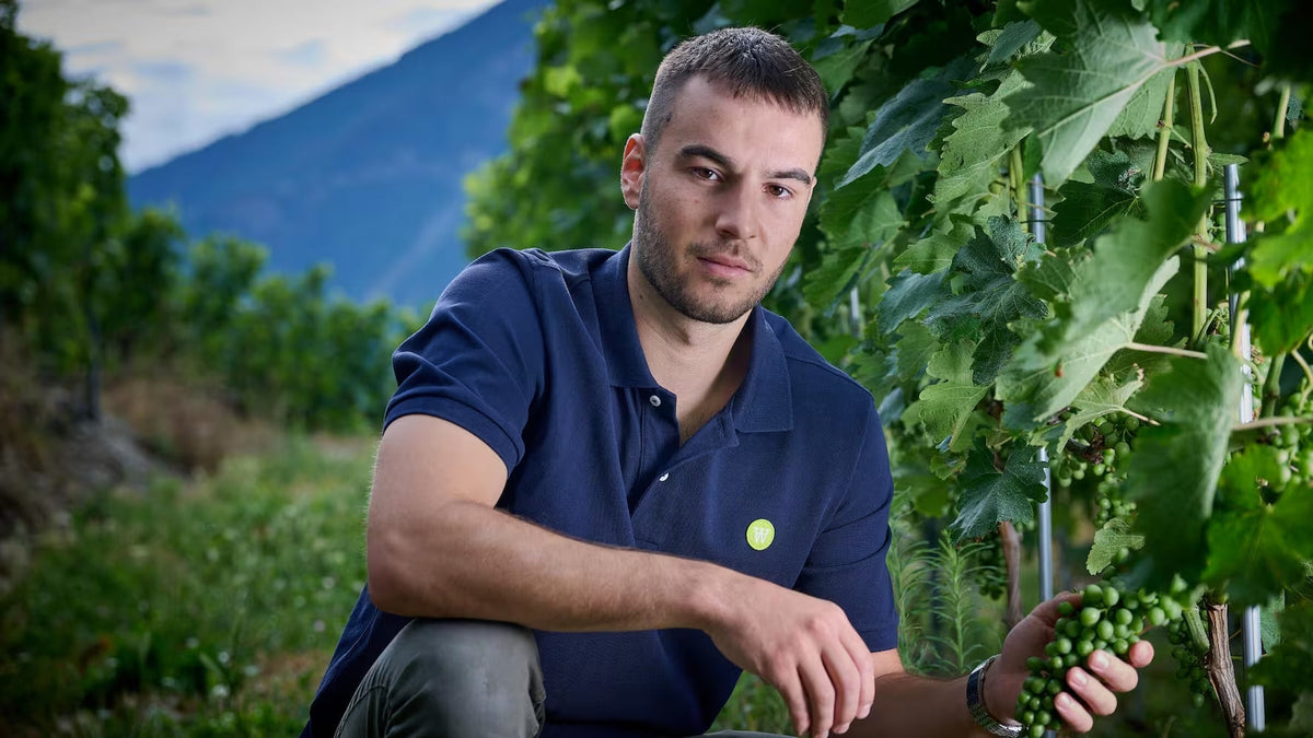 Luisier Vin