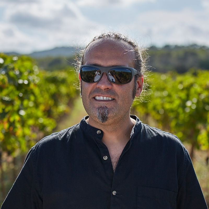 Es Fangar Vins