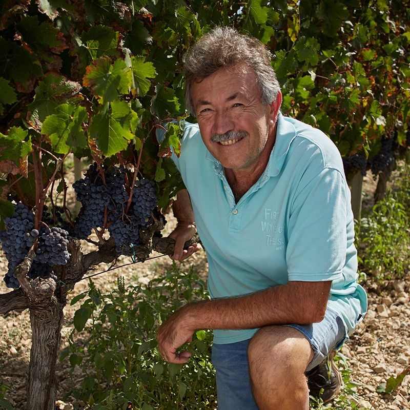 Vins Toni Gelabert