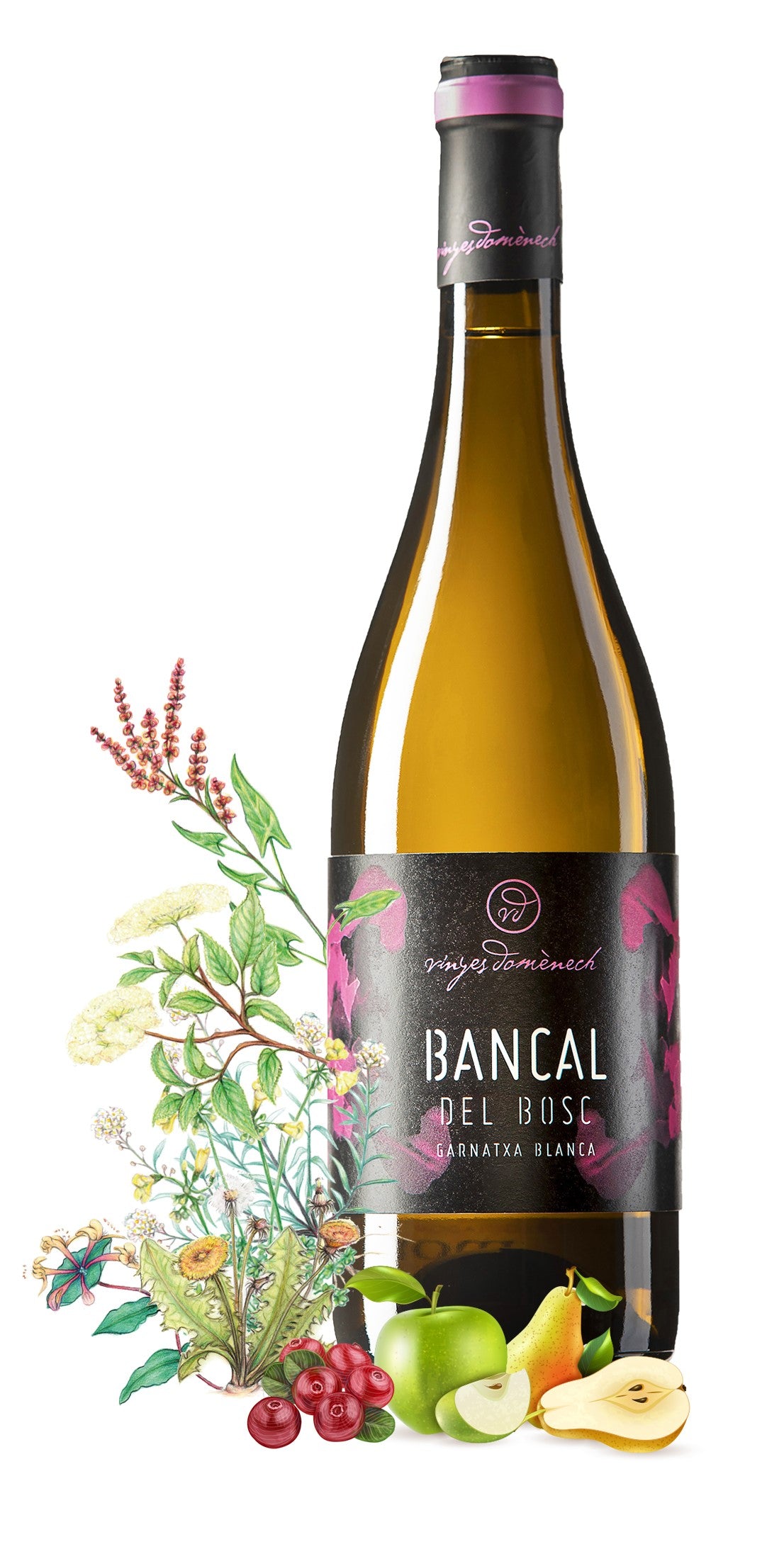 Bancal del Bosc Blanc BIO - Vinyes Domenèch – Bild 2