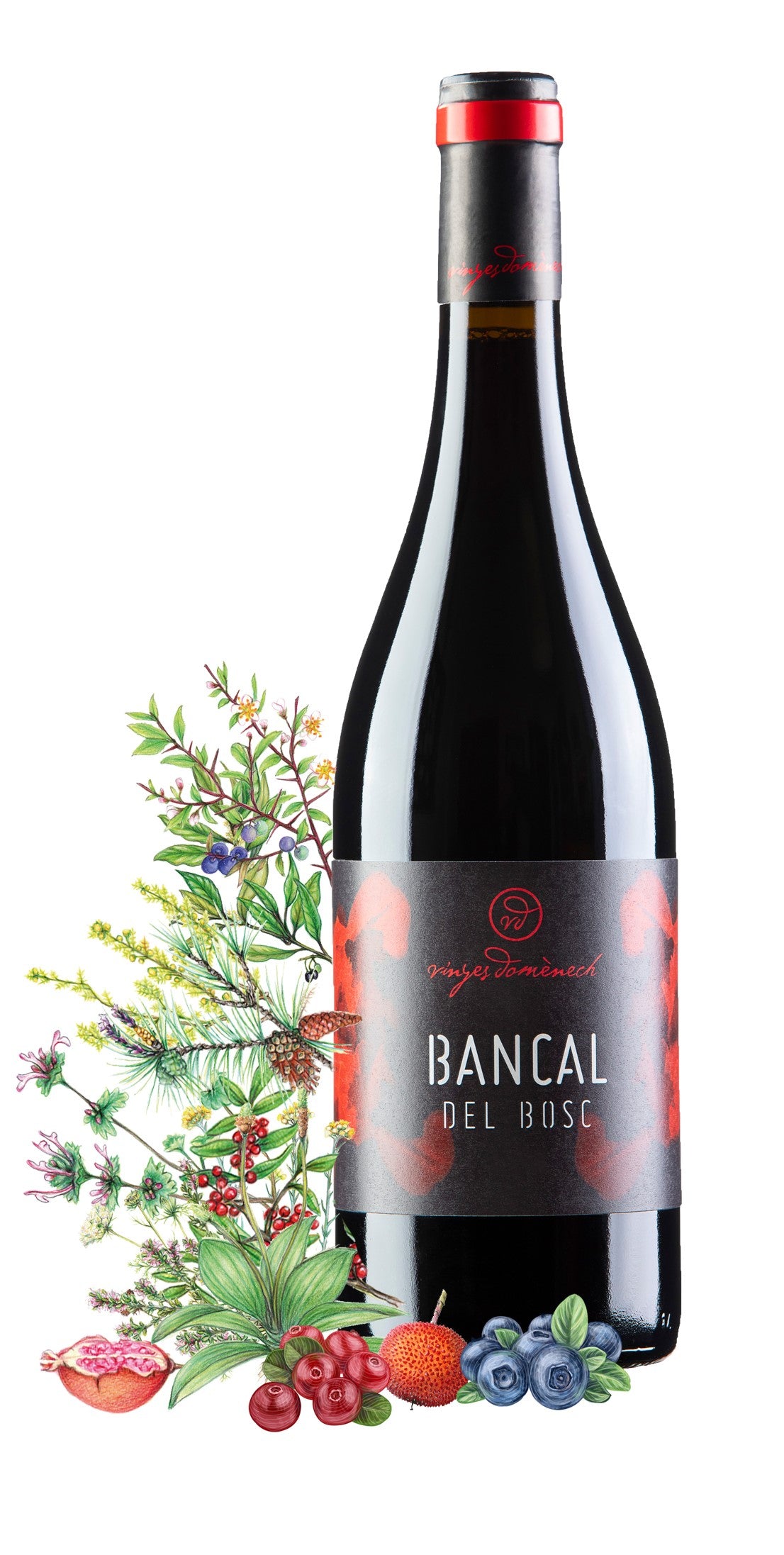Bancal del Bosc negre BIO - Vinyes Domenèch – Bild 2
