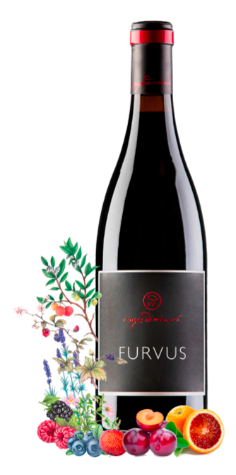 Furvus BIO - Vinyes Domenèch – Bild 2