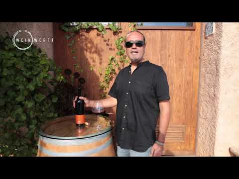 Son P BIO – Es Fangar Vins