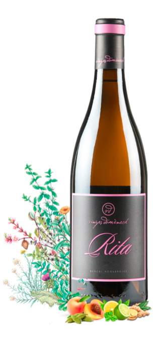 Rita BIO - Vinyes Domenèch – Bild 2