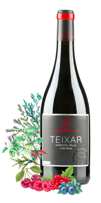 Teixar BIO - vi de Finca - Vinyes Domenèch – Bild 2