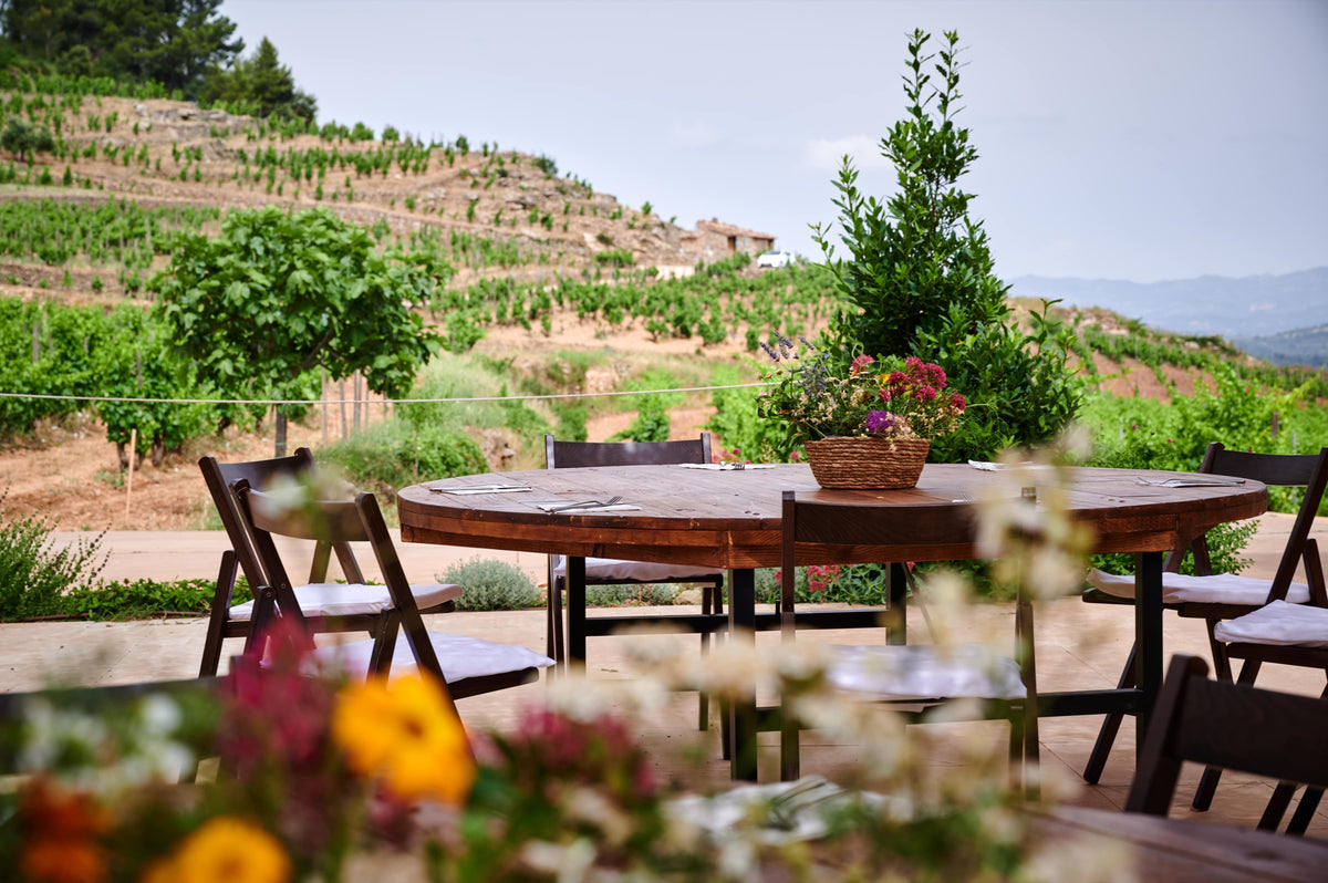 Gedeckter Degustationstisch im Weinberg